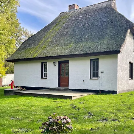 Mit Reetdach Prázdninový dům Ummanz