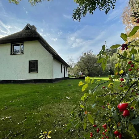 Tatil Evi Mit Reetdach